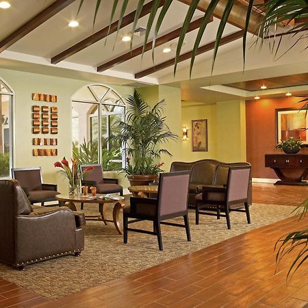 Palm Beach Shores Resort And Vacation Villas Interiør billede